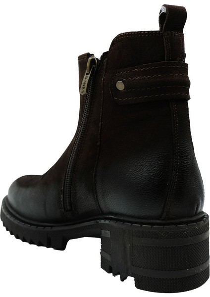 1950811K Venüs Bot modelleri