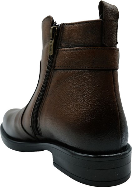 1852533K Venüs Bot modelleri