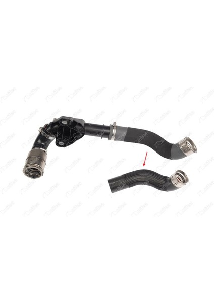 Turbo Hortumuplastik Boru Hariçok Ile Gösterilen Büyük Hortum Renault Master