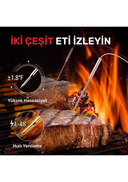 TP28C 2problu Zamanlayıcılı 150M Kablosuz Barbekü/mangal Profesyonel Pişirme Termometresi modelleri