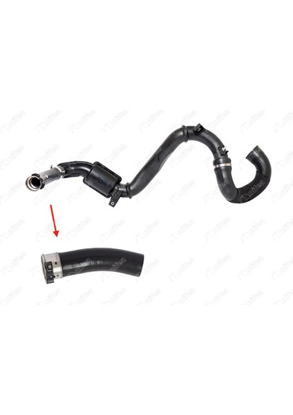 Turbo Hortumu Renault Trafıc Iı 06> Opel Vivaro A 06> 2.0dci 2.0cdtı Küçük