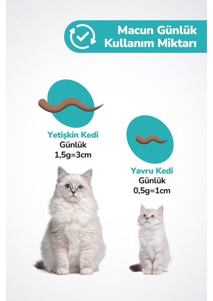 Kedi Tüy Yumağı Önleyici Malt Kedi Tüyü Döküm Dökülmesi Önleyici Engelleyici Kedi Maltı Macunu 100GR modelleri
