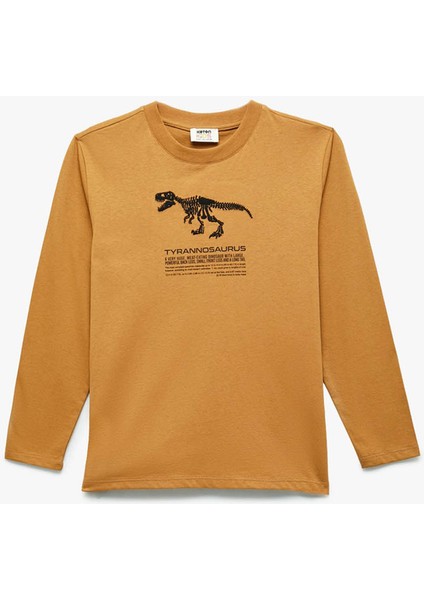 Camel Erkek Çocuk Sweatshirt 6WKB10189TK