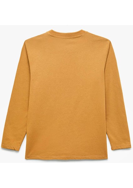 Camel Erkek Çocuk Sweatshirt 6WKB10189TK fiyatları