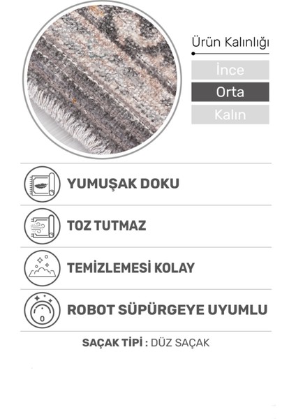 Retrova Halı Koleksiyonu | Vintage Eskitme Desenli, 6 mm Ince Form, Tozumaz ve Kolay Temizlik fiyatları