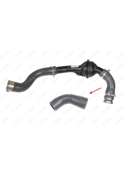 Turbo Hortumu Plastik Boru Hariç Ok Ile Gösterilen Küçük Hortum Dacıa Dokker 12 >