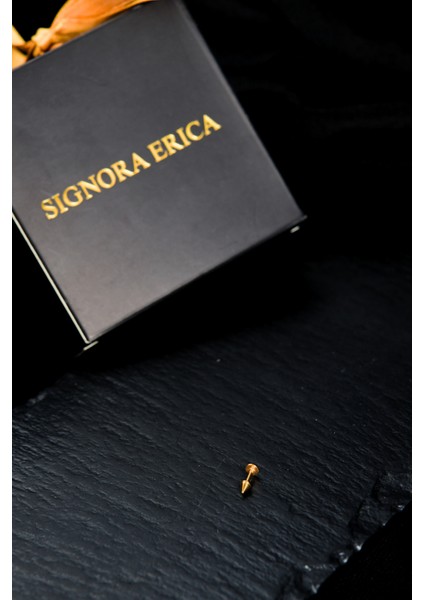 Bir Ucu Düz Bir Ucu Çivi/ok Dudak Piercing