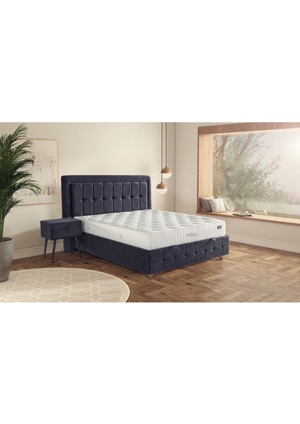 Mira Coil Full Ortapedik Yatak fiyatları