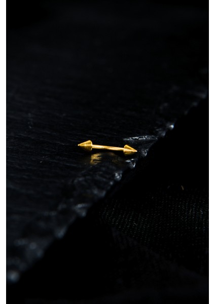 Iki Ucu Çivi/ok Kaş Piercing fiyatları