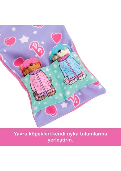 Nessiworld HXN01 Barbie ve Köpekçikleri Pijama Partisi indirimleri