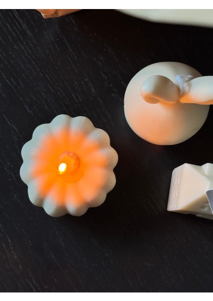 Vanilla Pumpkin fiyatları