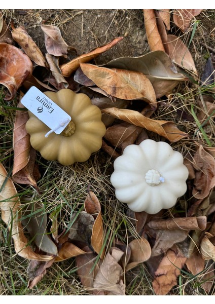 Vanilla Pumpkin modelleri