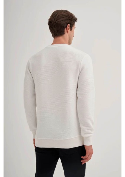 Bisiklet Yaka Ekru Erkek Sweatshirt 51930 modelleri