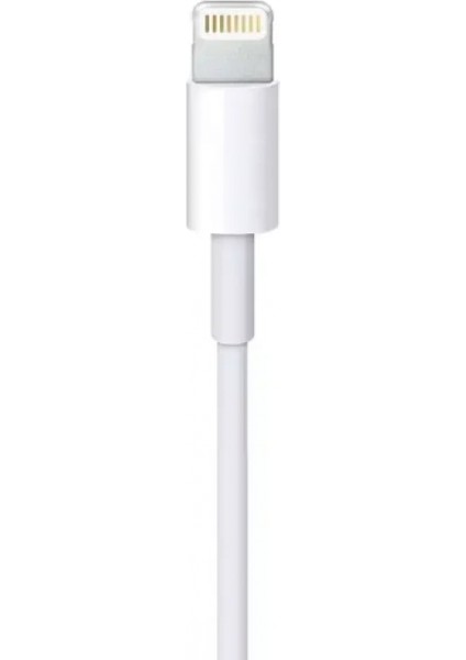 ZR649 Lightning 15 Cable 2 M