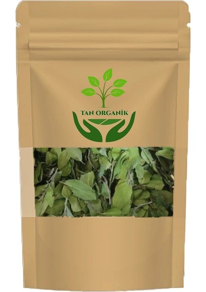 Sidr Sidir Arabistan Kirazı Ağacı Yaprağı 10GR