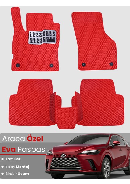 Lexus Rx 300 (2022-2025) Uyumlu Eva Paspas Tam Set – Araca Özel Tasarım