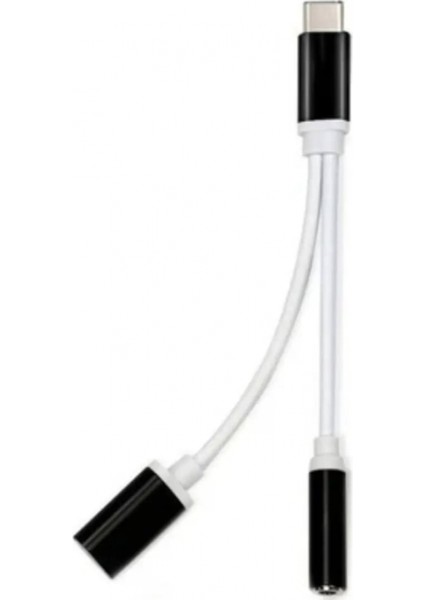 ZR310 Ft Ac 20 Type-C 2 In 1 Çevirici