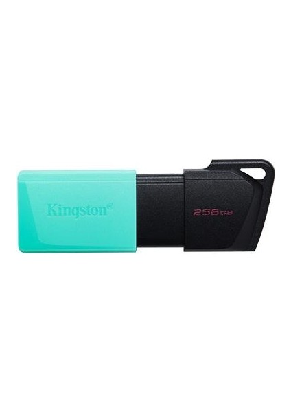 Hello Papana 256 GB Kıngston Exodıa M USB Bellek 3.2 Dt DTXM/256GB