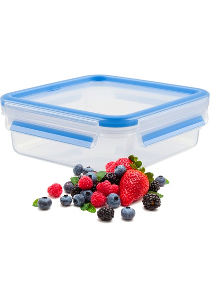 MasterSeal Fresh Saklama Kabı - 0.85 L