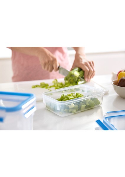 MasterSeal Fresh Saklama Kabı - 0.85 L modelleri