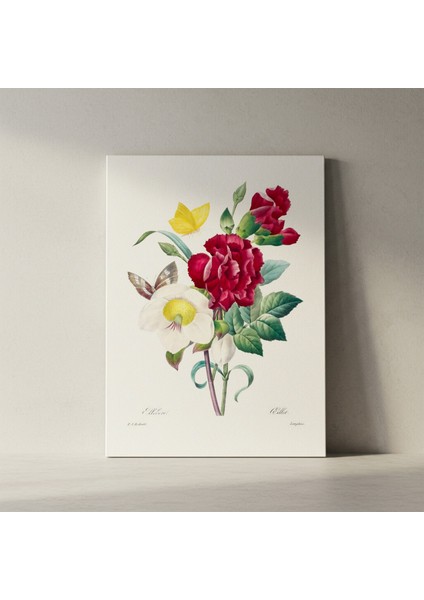 Vintage Botanik Çiçek Illüstrasyon Tablosu fiyatları