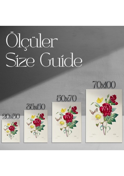 Vintage Botanik Çiçek Illüstrasyon Tablosu modelleri