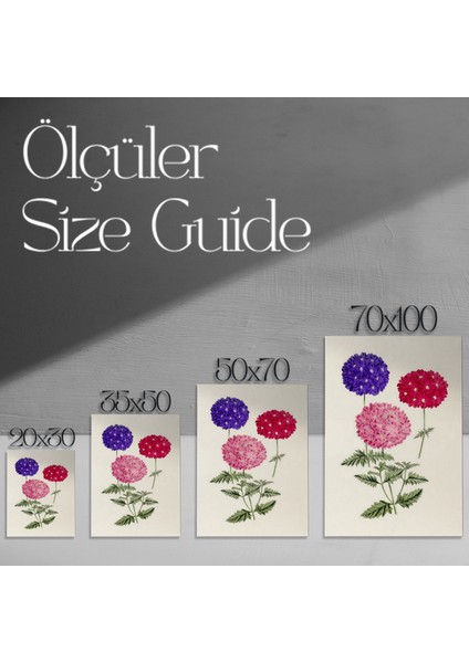 Üç Renkli Verbena Botanik Illüstrasyon Tablosu modelleri