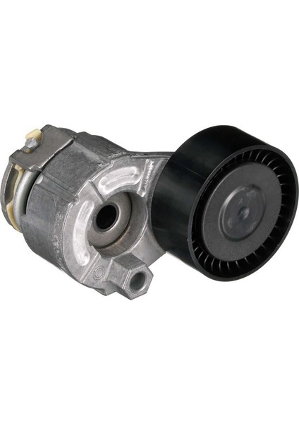 T39009 - Alternatör Gergi Rulmanı Kütüklü Clıo Iı-Iıı-Iv Megane Iı-Iıı Symbol I-Iı Kangoo-Iı Laguna Iıı 07 15 Fluence 09 Duster 10 Qashqaı 06 13 1.4 16V K4J 1.5dci K9K 1.6 16V K4M