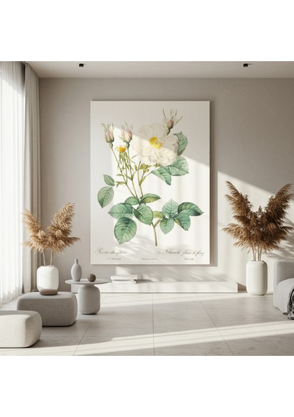 Vintage Beyaz Gül Botanik Illüstrasyon Tablosu fırsatları