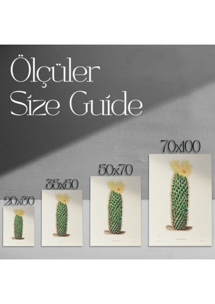 Vintage Kaktüs Botanik Illüstrasyon Tablosu modelleri