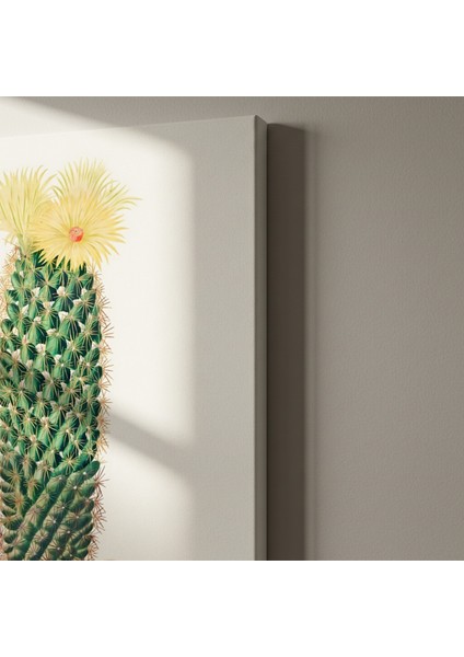 Vintage Kaktüs Botanik Illüstrasyon Tablosu indirimleri