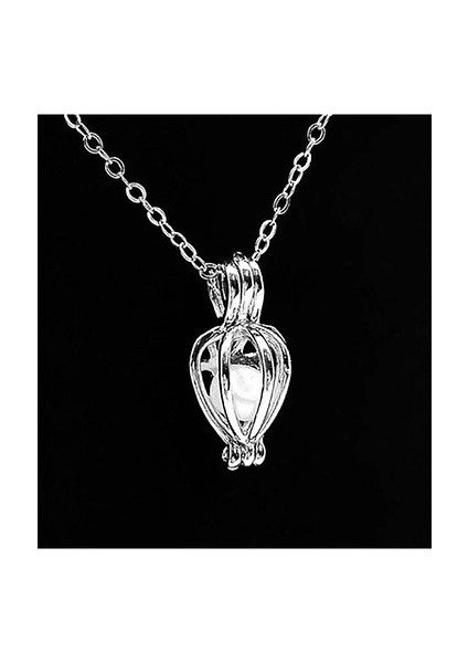 Gerçek Istiridye Içinde Inci Kolye