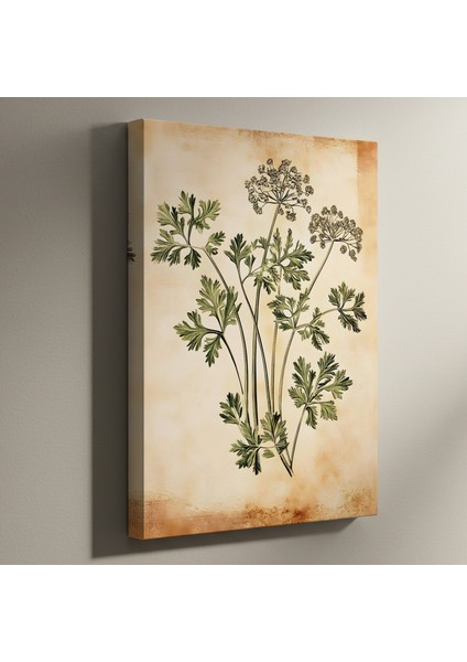 Vintage Botanik Illüstrasyon Tablosu