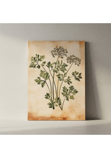 Vintage Botanik Illüstrasyon Tablosu fiyatları