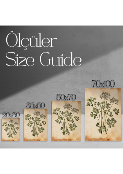 Vintage Botanik Illüstrasyon Tablosu modelleri