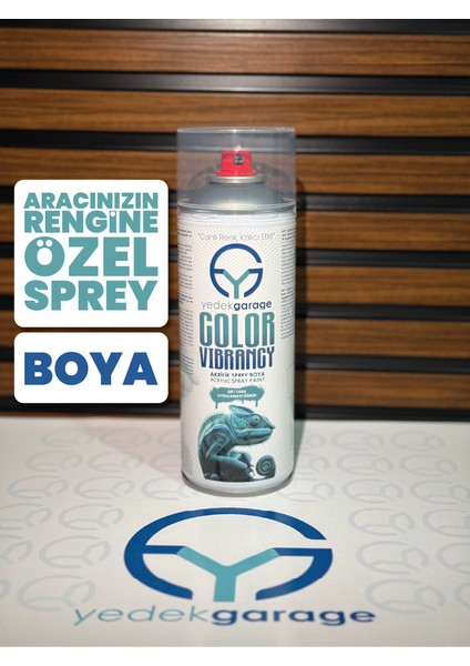 Araç Renk Koduna Özel Color Vibrancy Araç Sprey Rötuş Boyası