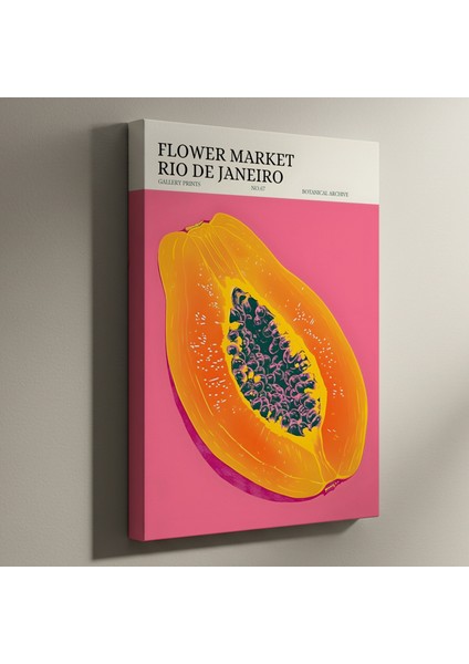 Rio Papaya Tropikal Meyve Soyut Sanat Tablosu
