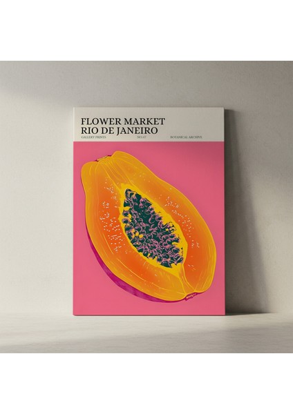 Rio Papaya Tropikal Meyve Soyut Sanat Tablosu fiyatları