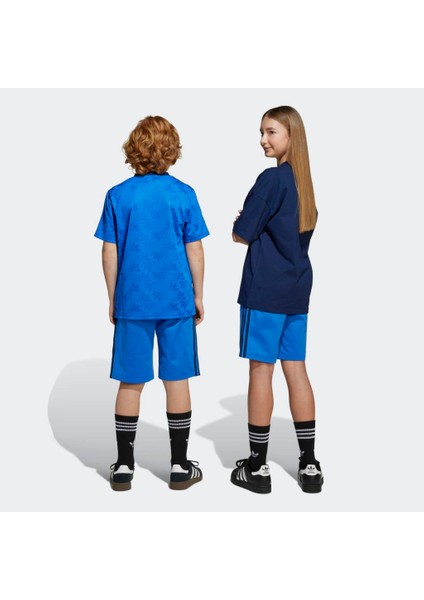 JV7691 Shorts