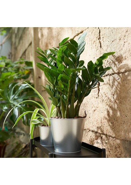 Akerbar Çelik Saksı Galvanizli 15 cm fırsatları