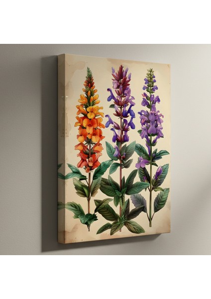 Botanik Illüstrasyon Tablosu: Üç Çeşit Bahar Çiçeği