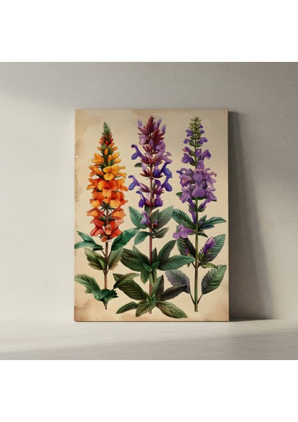 Botanik Illüstrasyon Tablosu: Üç Çeşit Bahar Çiçeği fiyatları