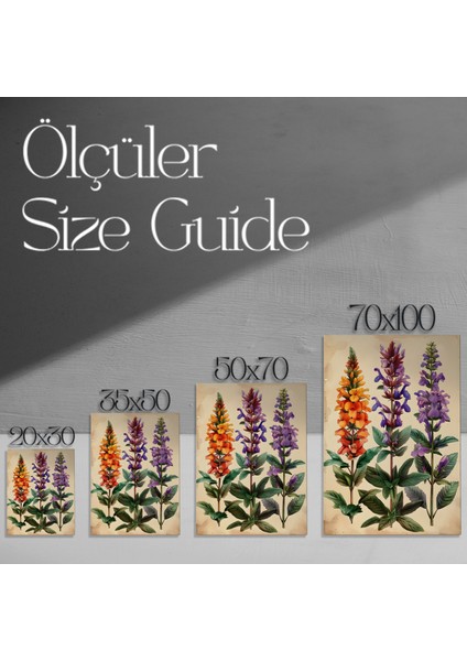 Botanik Illüstrasyon Tablosu: Üç Çeşit Bahar Çiçeği modelleri