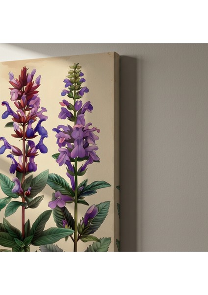 Botanik Illüstrasyon Tablosu: Üç Çeşit Bahar Çiçeği indirimleri