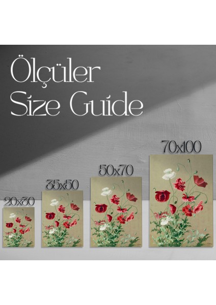 Kırmızı ve Beyaz Haşhaş Çiçekleri Botanik Illüstrasyon Tablosu modelleri
