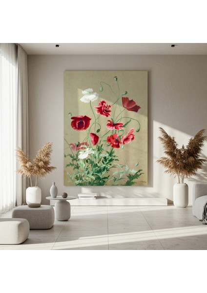 Kırmızı ve Beyaz Haşhaş Çiçekleri Botanik Illüstrasyon Tablosu fırsatları