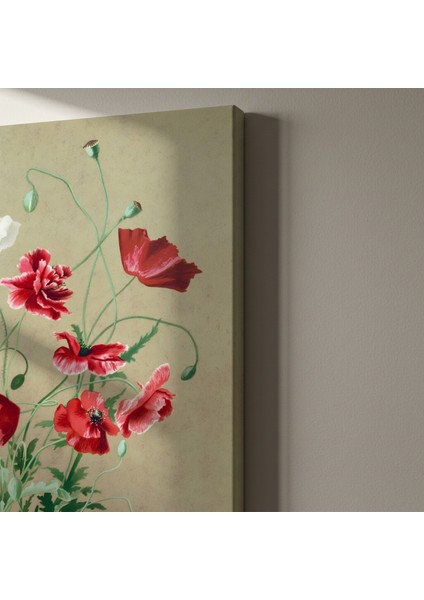 Kırmızı ve Beyaz Haşhaş Çiçekleri Botanik Illüstrasyon Tablosu indirimleri