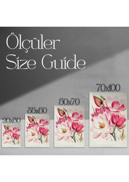 Pembe ve Beyaz Manolya Çiçeği Botanik Illüstrasyon Tablosu modelleri