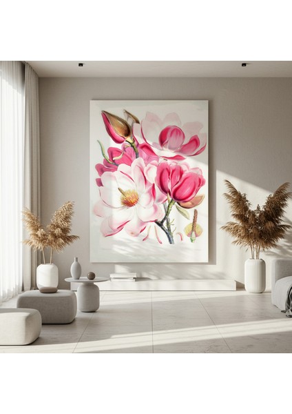 Pembe ve Beyaz Manolya Çiçeği Botanik Illüstrasyon Tablosu fırsatları