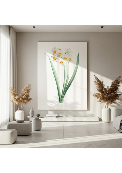 Vintage Beyaz Nergis Botanik Illüstrasyon Tablosu fırsatları